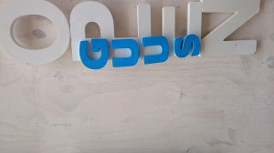 dsc-0718